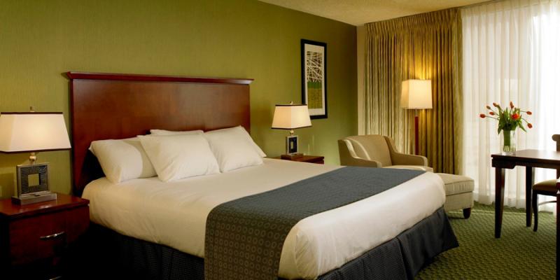 Accessible Room King